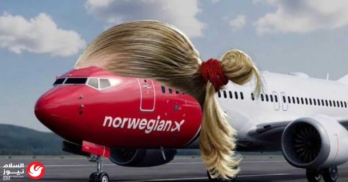 ���� ������ ��� ������ ����� ����� ������� ���� �