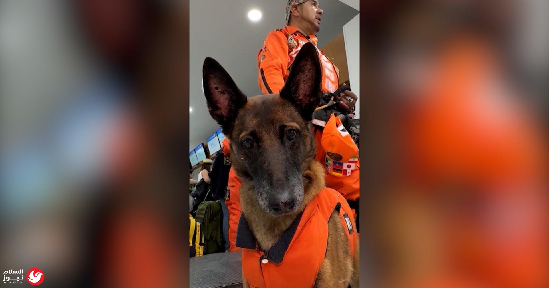 ����� �� 4 ���� �� �������: ���� ������� ���� ����