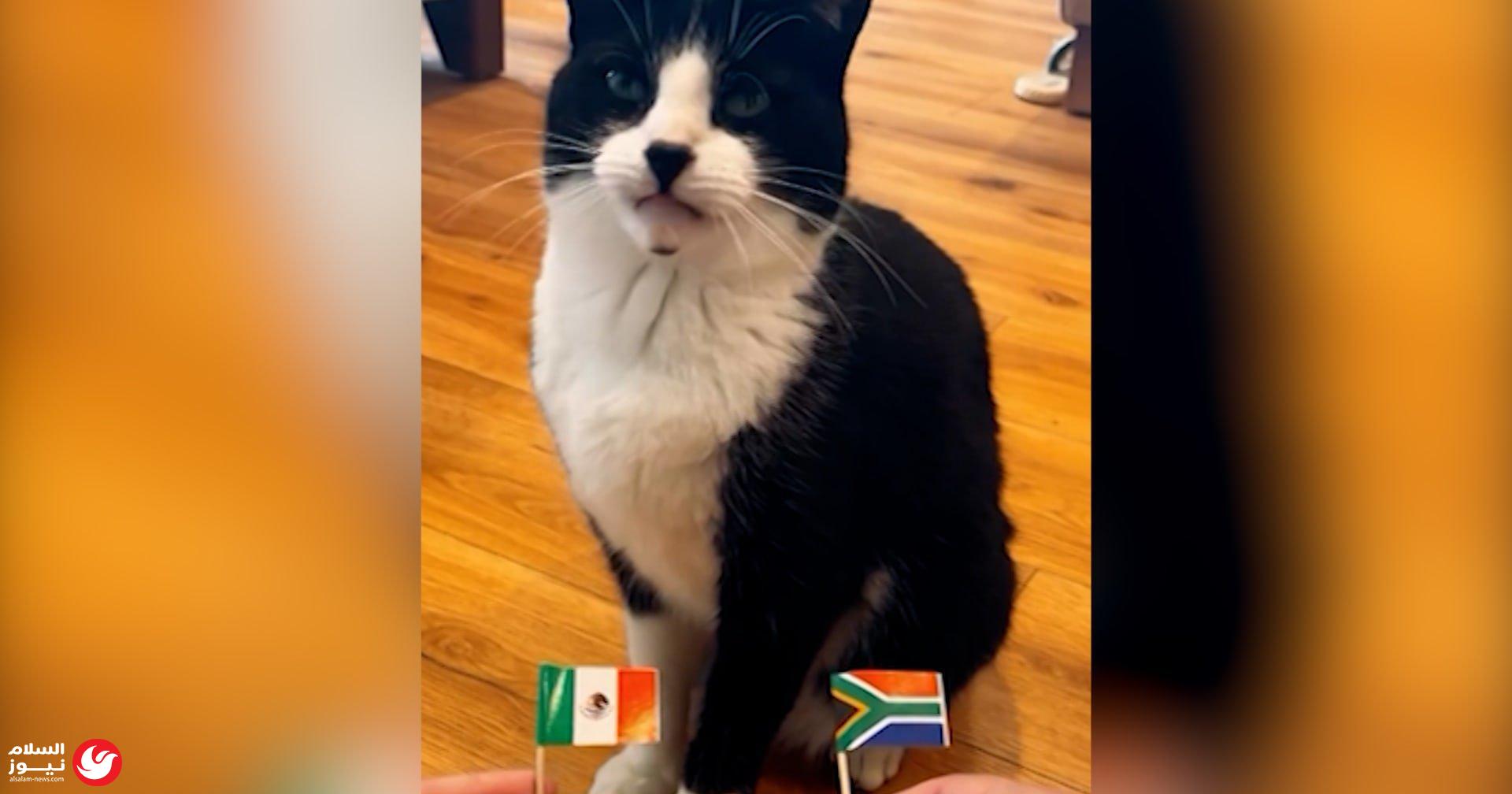 ����� ��� �����.. �� ����� ��� ���� ������� ����