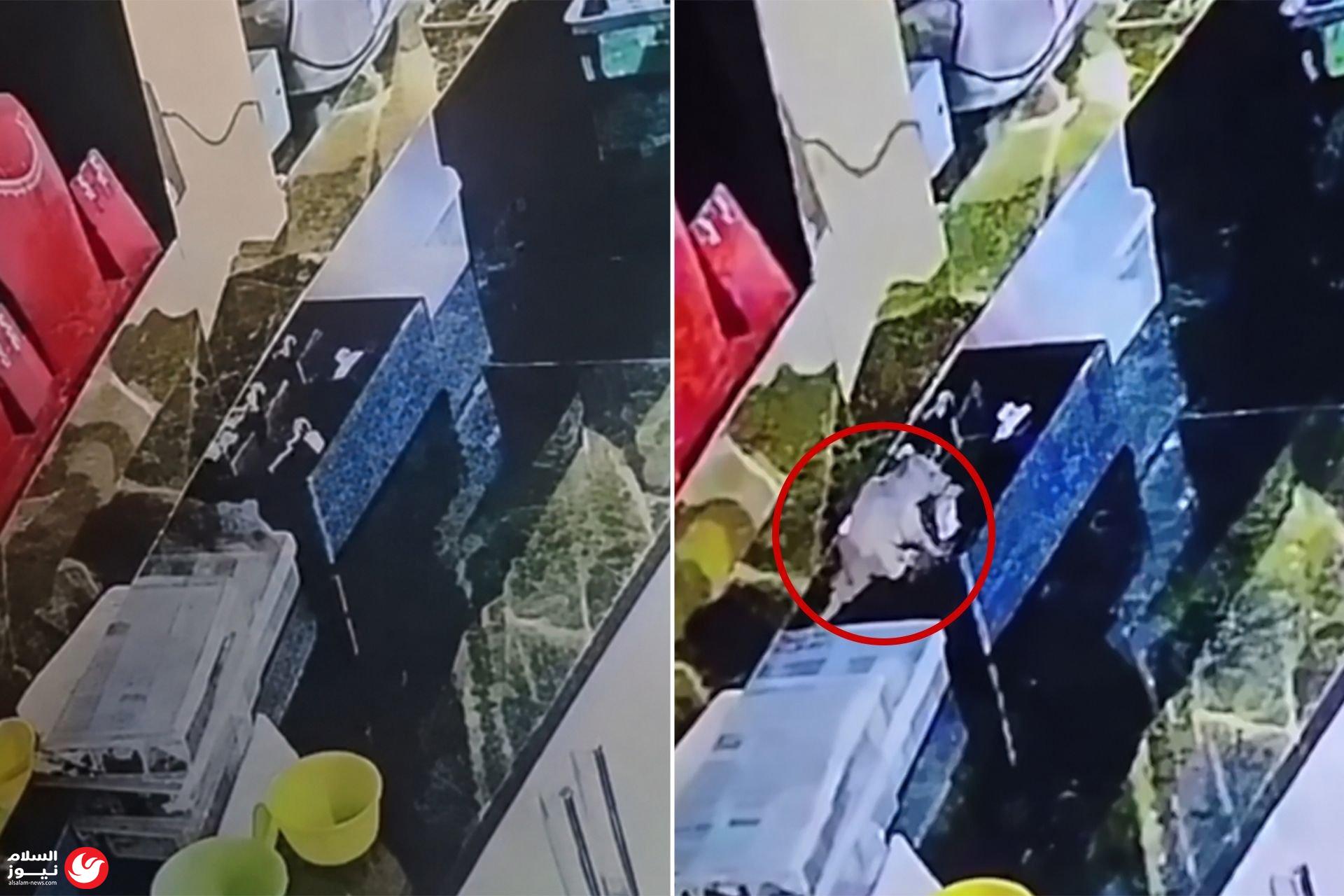 �� ��� �����.. ��� ���� ��� ������� �� 12 ��� ����