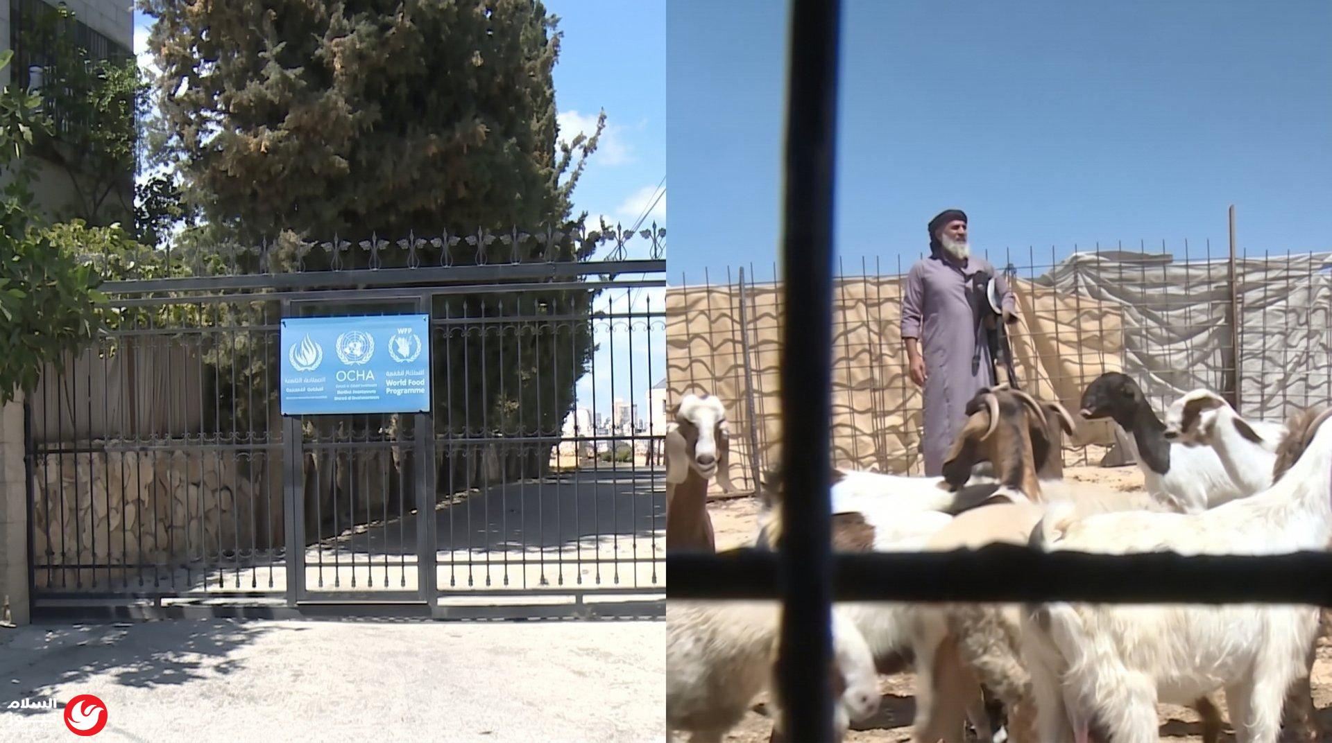 ��� ��� ������� ����� ������.. ���� ������ �����