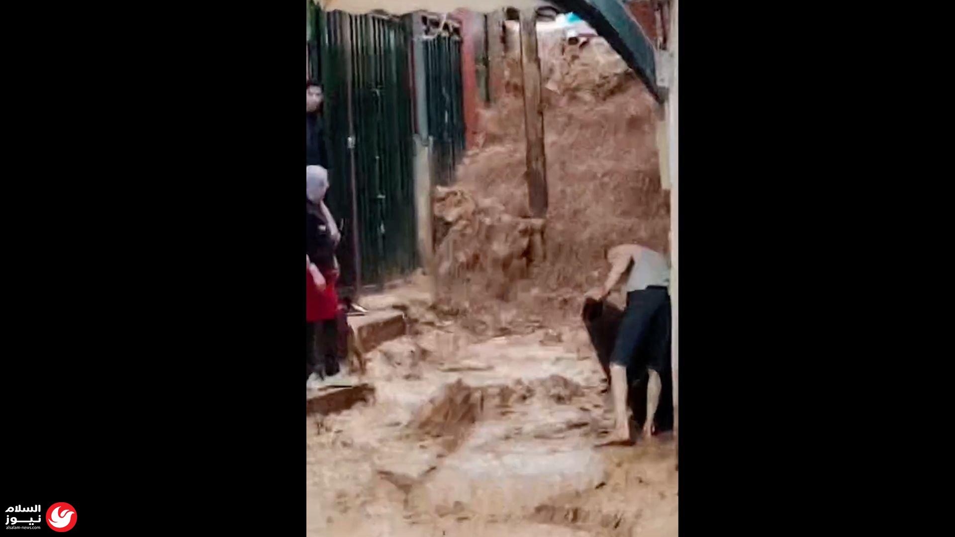 ���� ����� ���� ����� ����� ������ �������� ��� ��