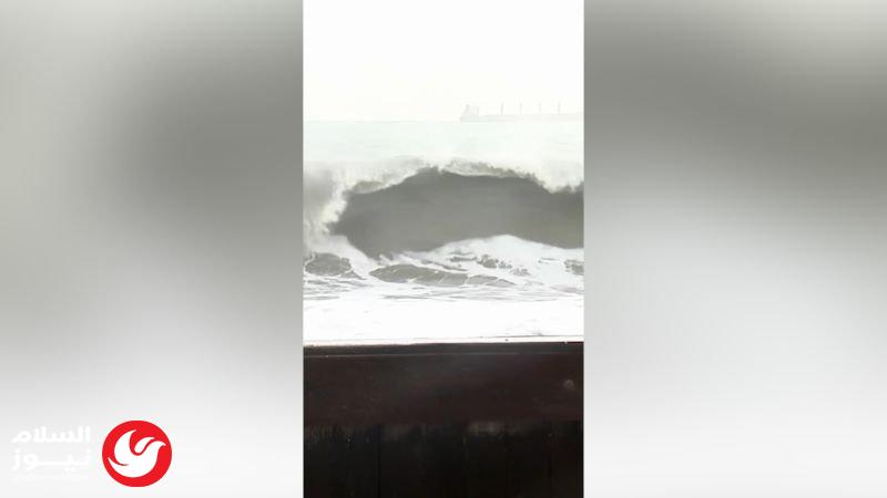 ����� ����� ���� ����� ���������� ���� ����� ����