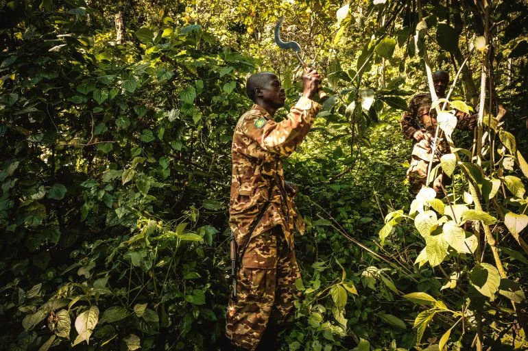 Bwindi