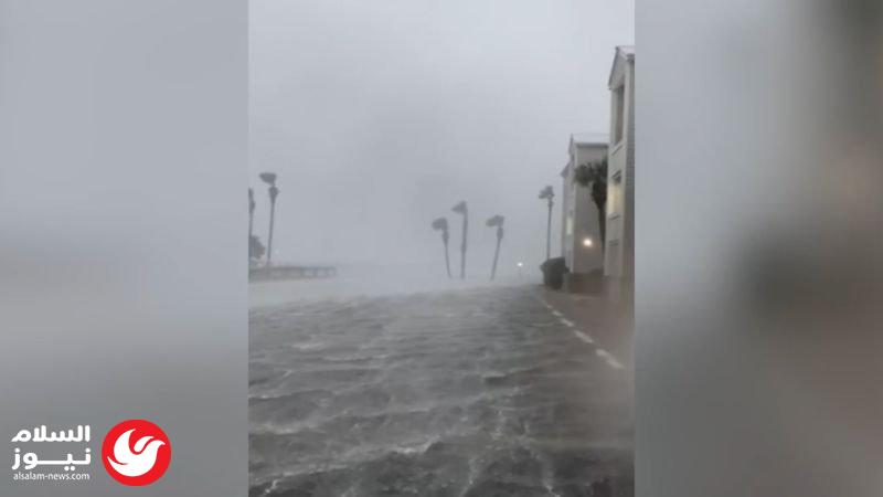 ����� ������ ���� ����� �������: ���� ����� ����