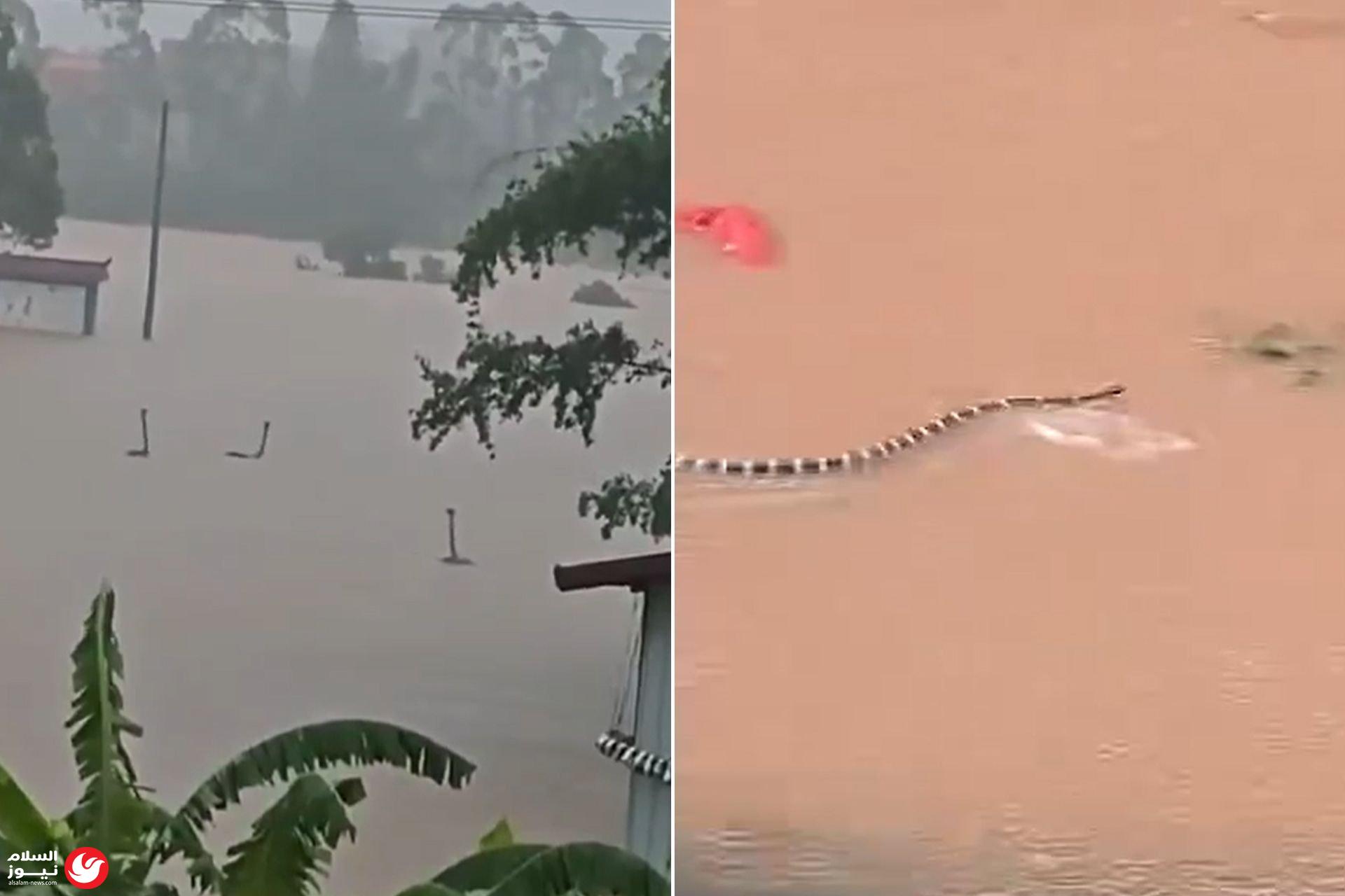 ��� �� �����.. ������� ���� ����� ������ ����� �