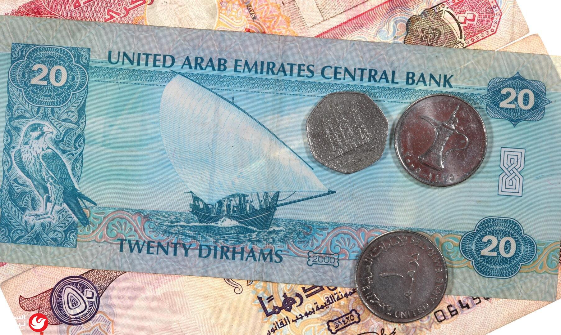 ����� ����� ���� 2.44 ����� ���� ������� �� ����