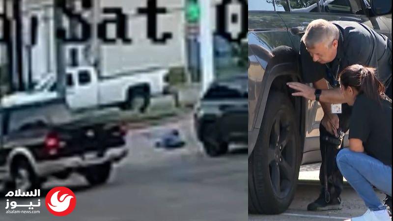 ����� ����� ���� ����� ����� �� ������: ����� ����