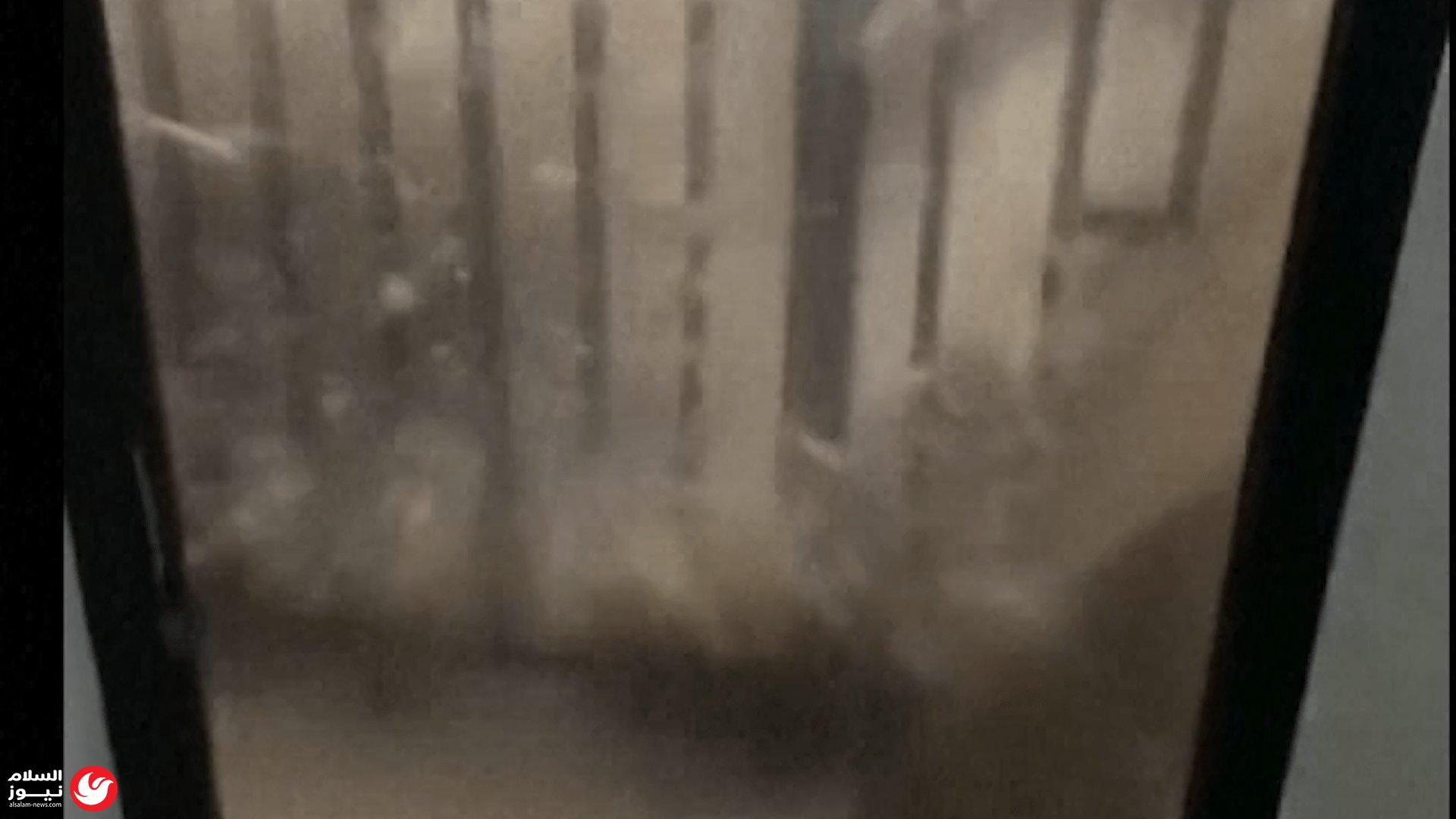 ����� ���� ���� ����� �����: ����� ������ ��� ��