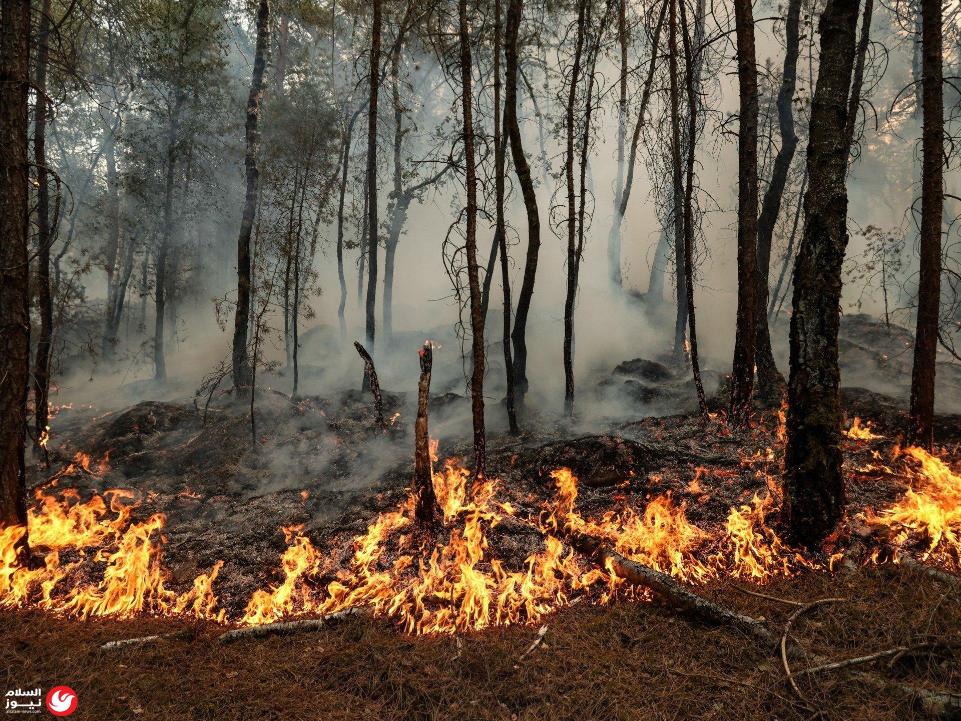 ����� ������� ����� 1300 ����� ��� ����� ��� ���� 