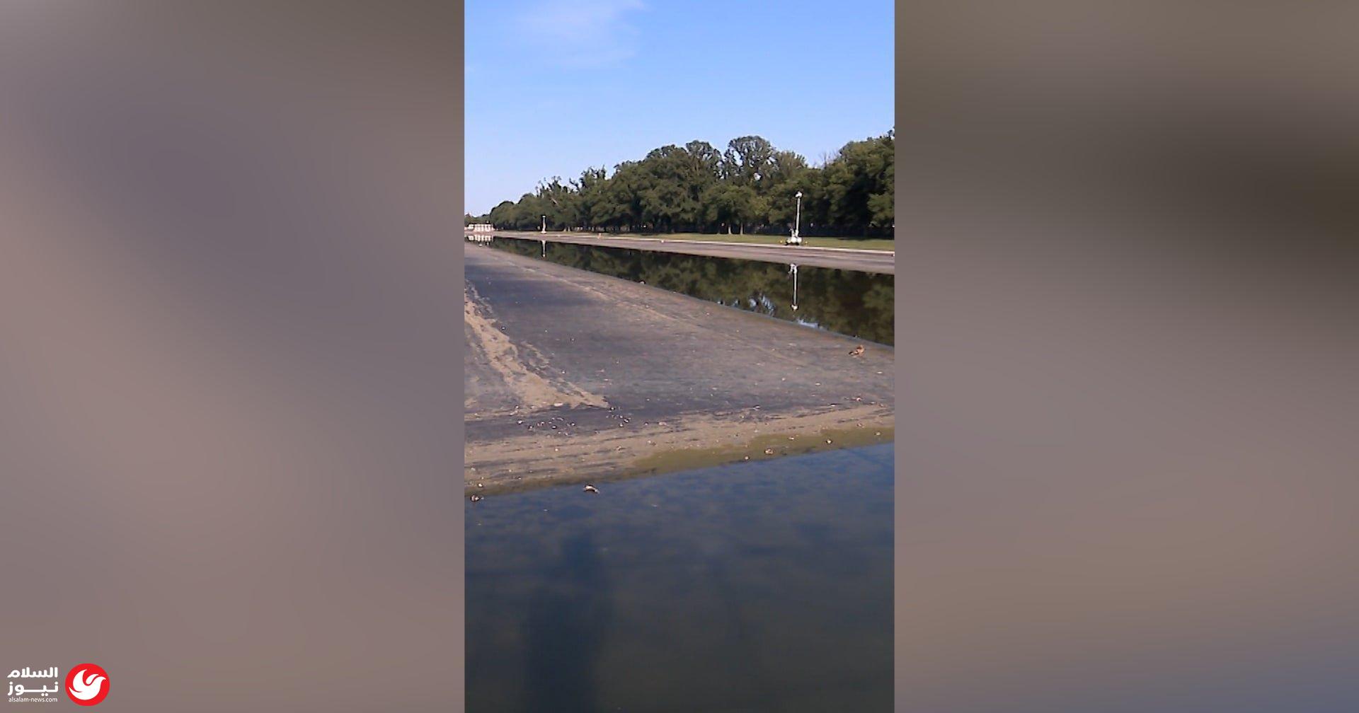 ��� ��� �������: ���� ���� ������ ���� ����� ���