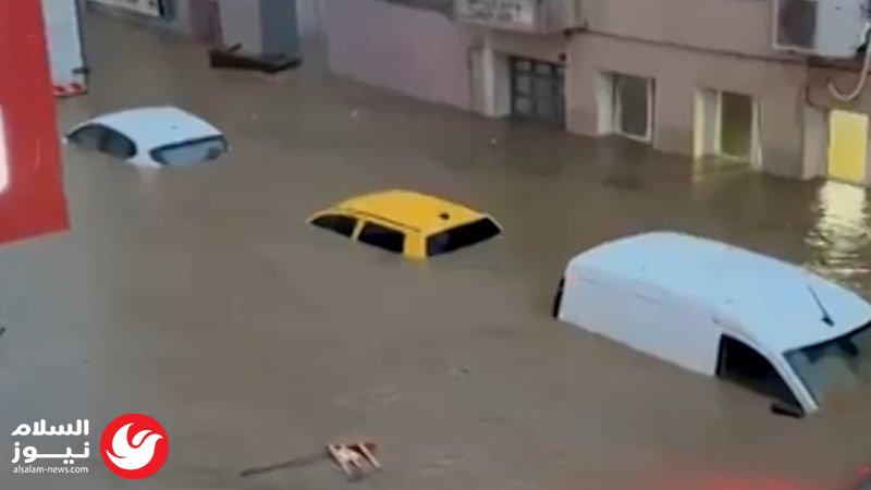 ������� ��� �����: ����� ����� ������� ���� ������