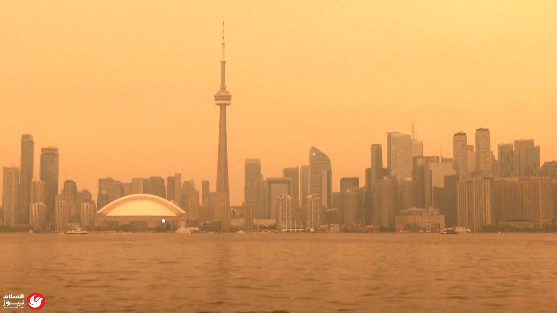 ���� ����� ������� ���� ������� ����� ������ ��� �