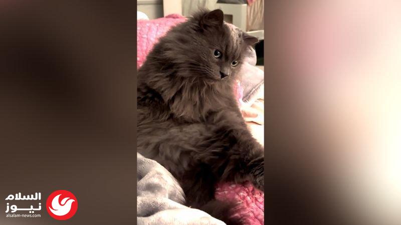 ��� 571 ����� �� ������.. ���� ����� ������� ���