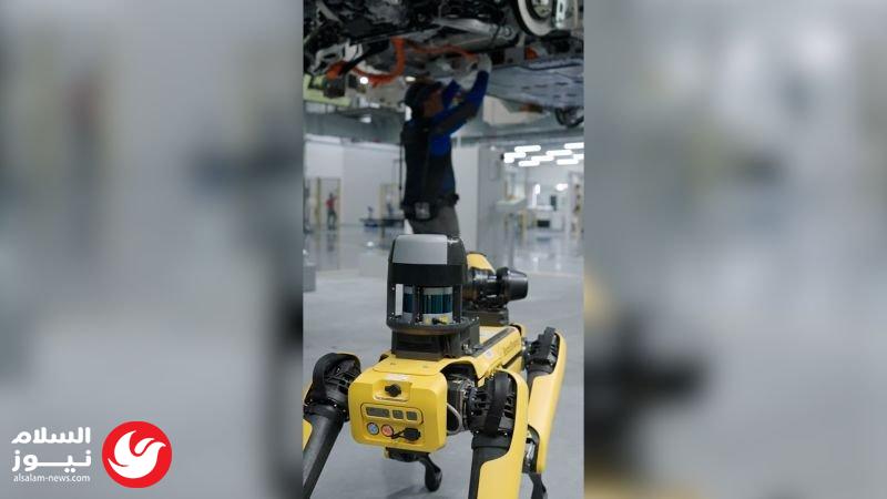 ��� ����� ������� ������� �� �����: �� ����� ���
