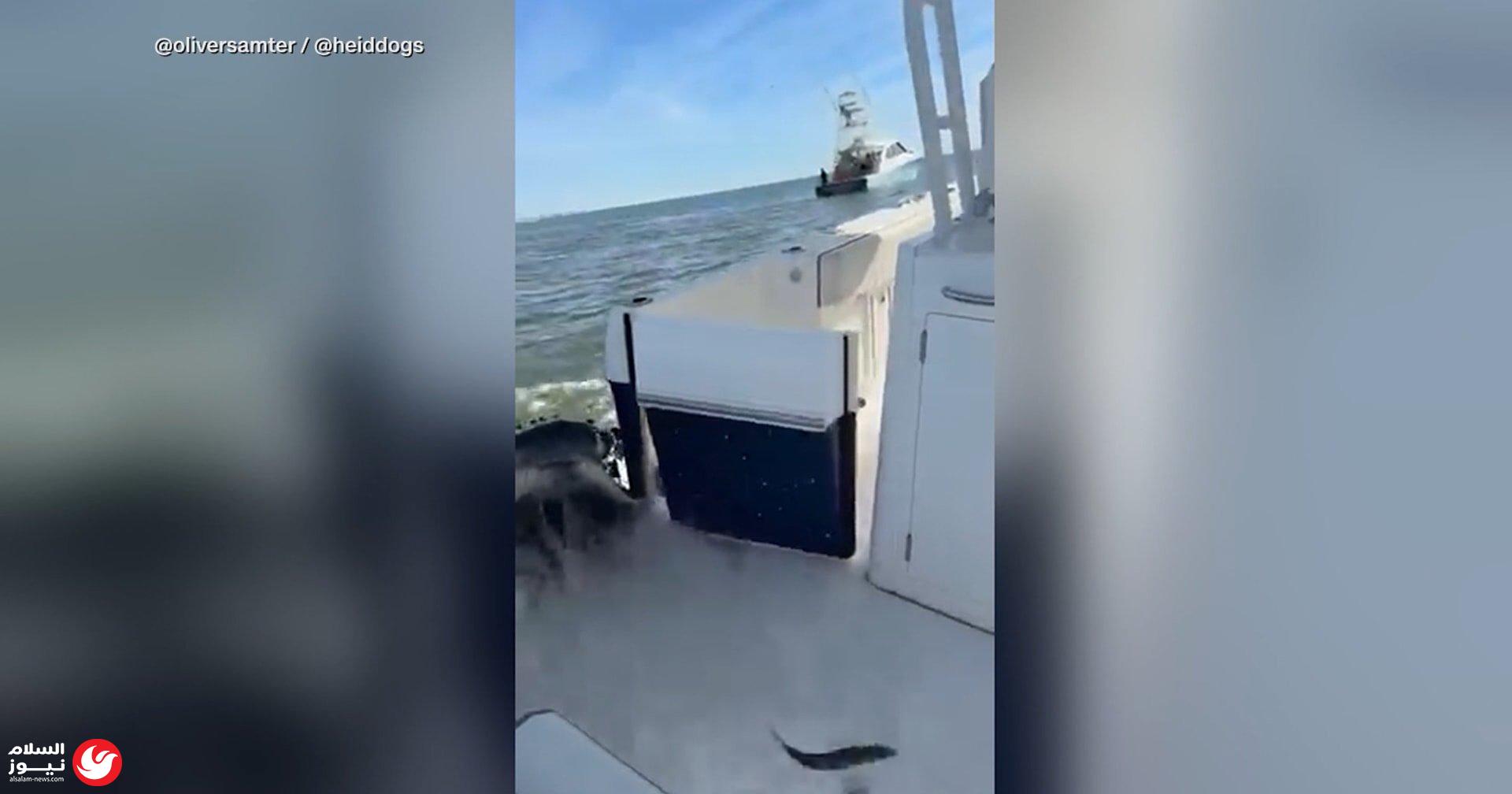 ���� �����: ���� ������ ����� ����� ����� �� ��� �
