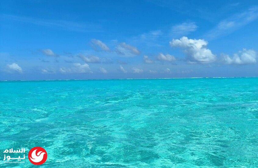 ���� ���� ���� ���� ���� ������� ������� �������