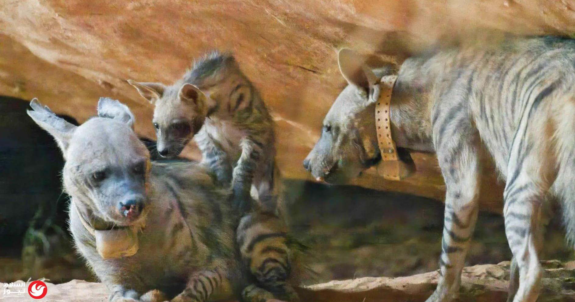 ����� ������ ������ �� ����� �������� ������ ����