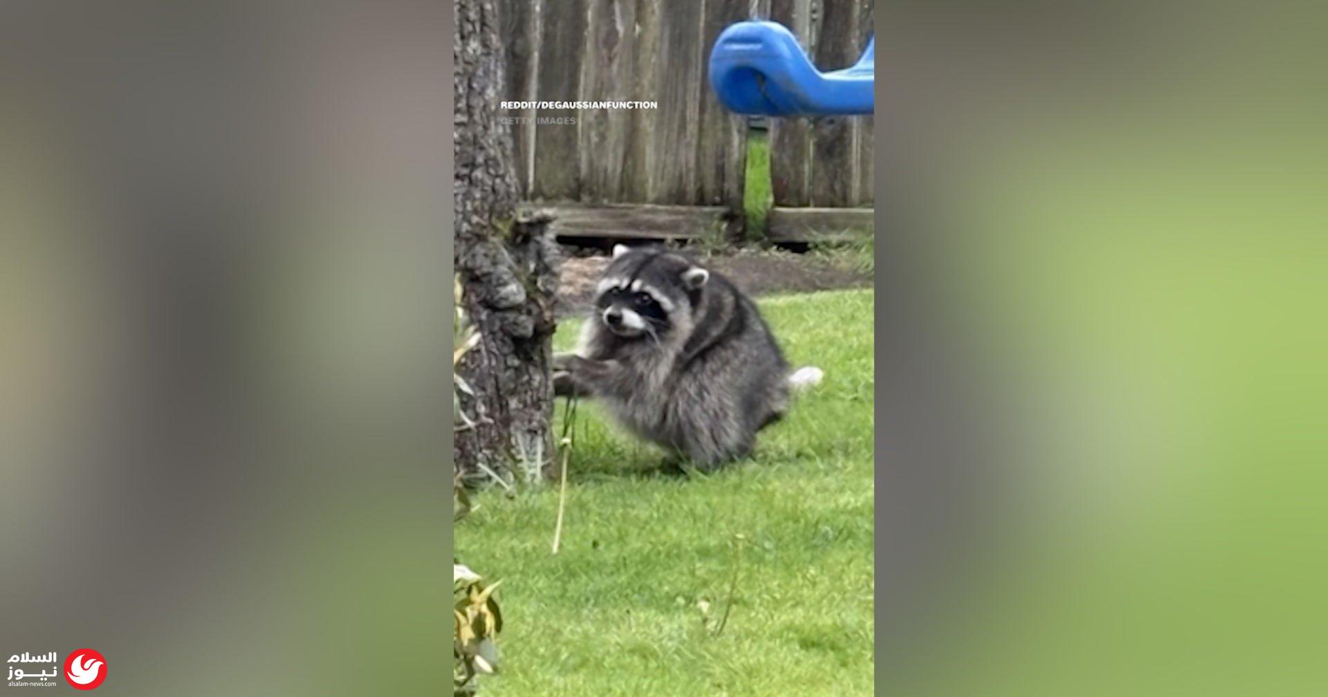 ����� ������: ����� ���� ���� ���� ��� ����� �� 