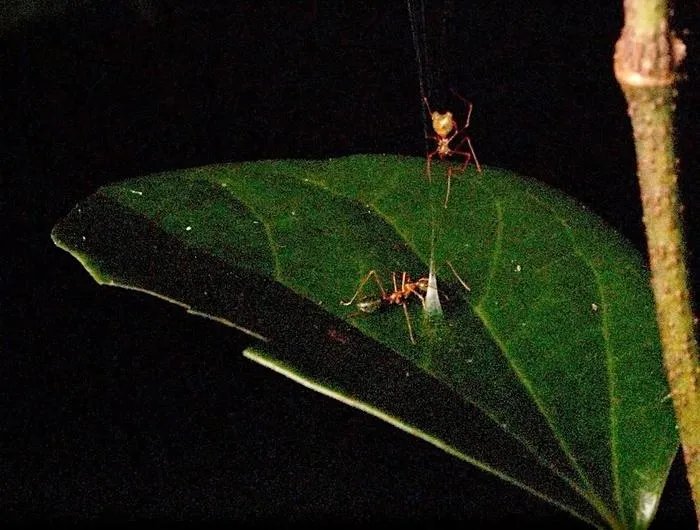 ���