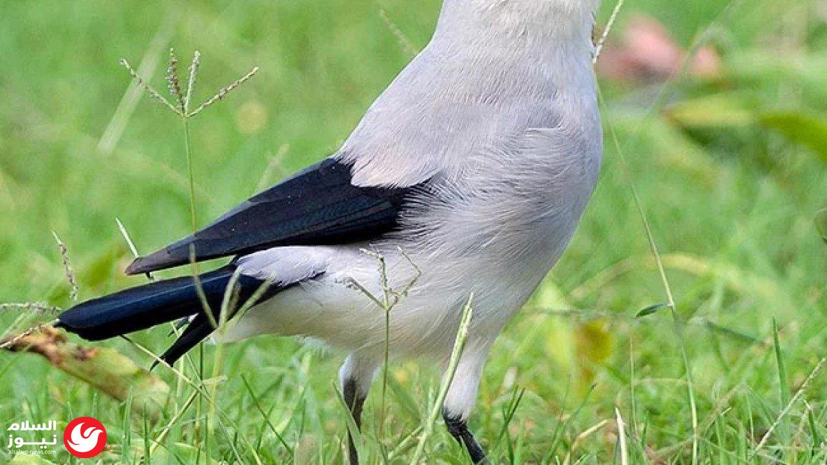 ��� �� ����� ������: ������� ��� �������� ���� ���