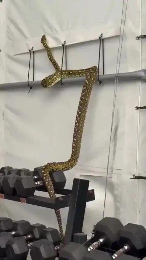 ����� ����� �� ���� ������� ���� �������