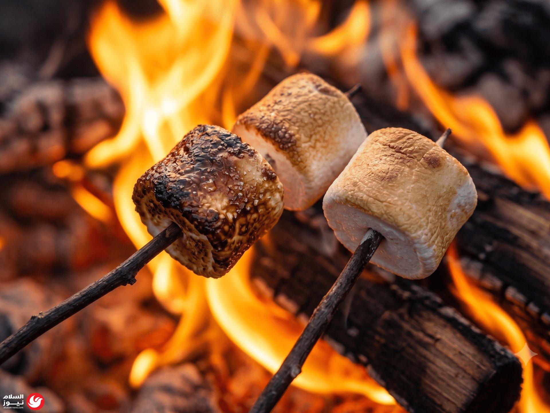 �� ���� ������ ��� �����: ��� ����� ���� ��������