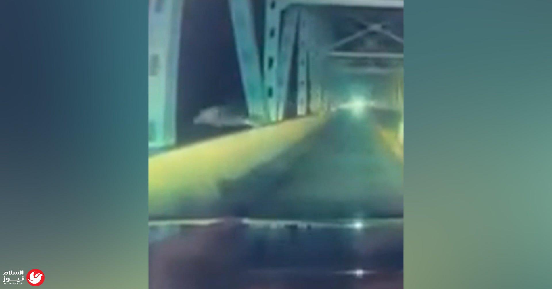 ���� ����� �� �������: ��� ���� �� ��� ��� �� ����