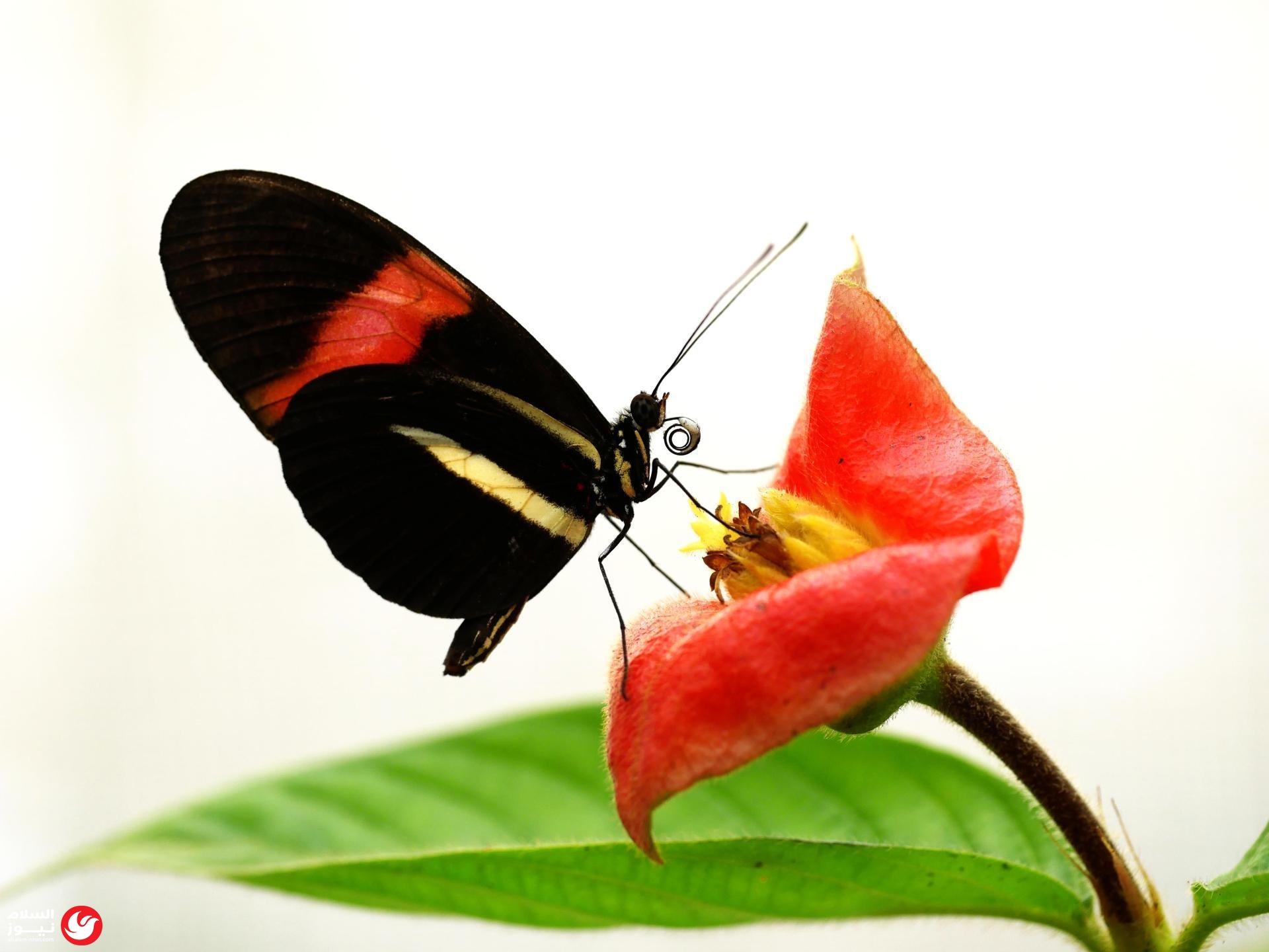 �� ��� 348 �����: ��� ���� ������ ���� �������� 