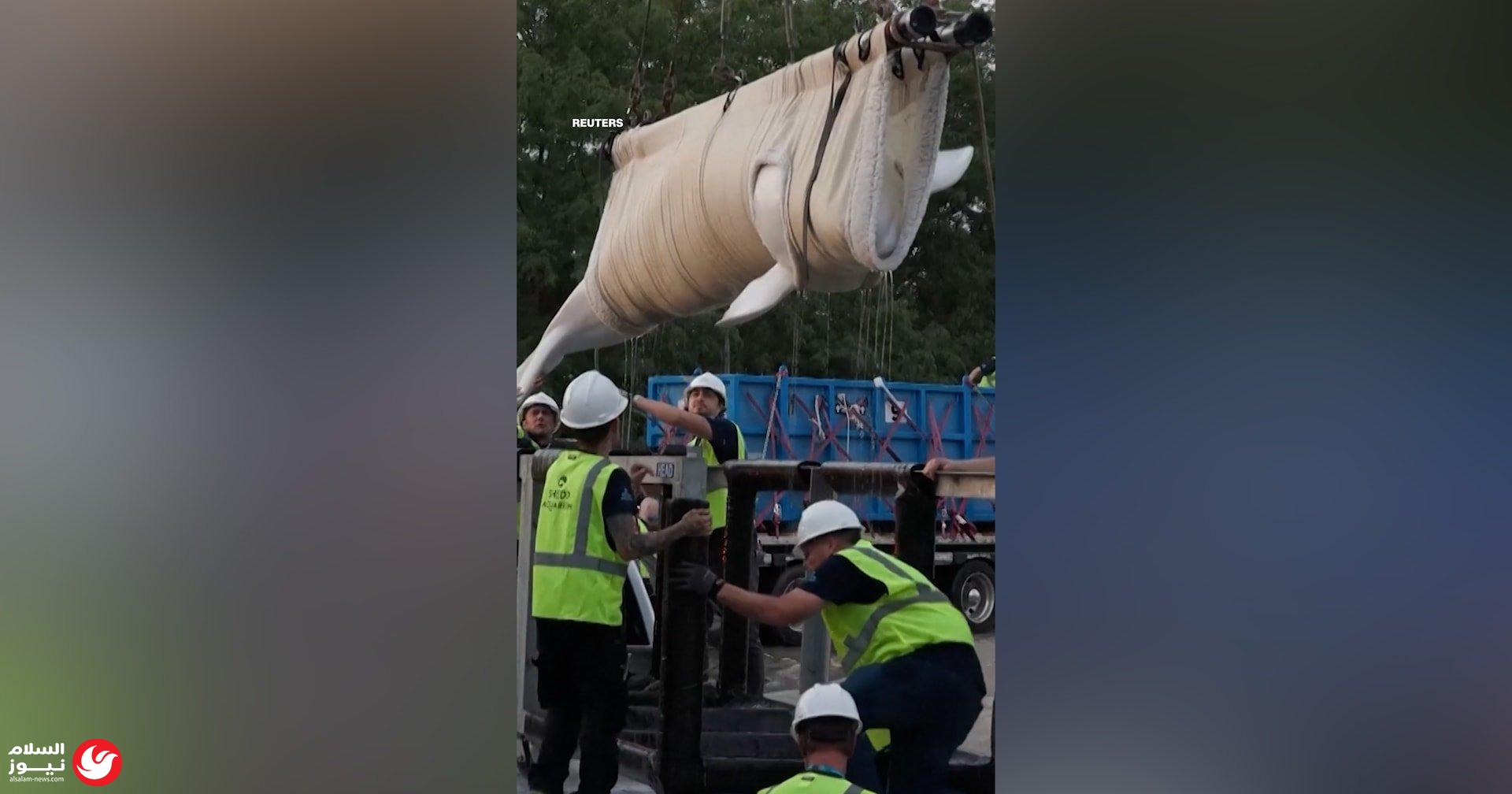 ���� ����� ���������: ��� 6 ����� ������ �� ����
