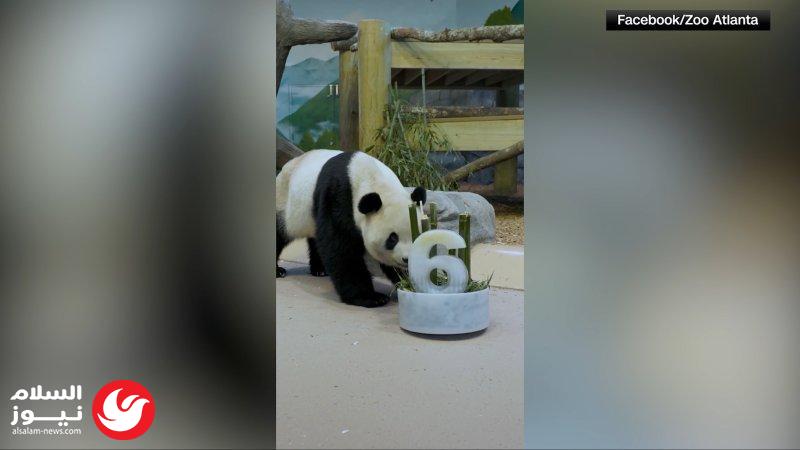 ���� ��������� �� ��� ����� �� ����� ������: ���