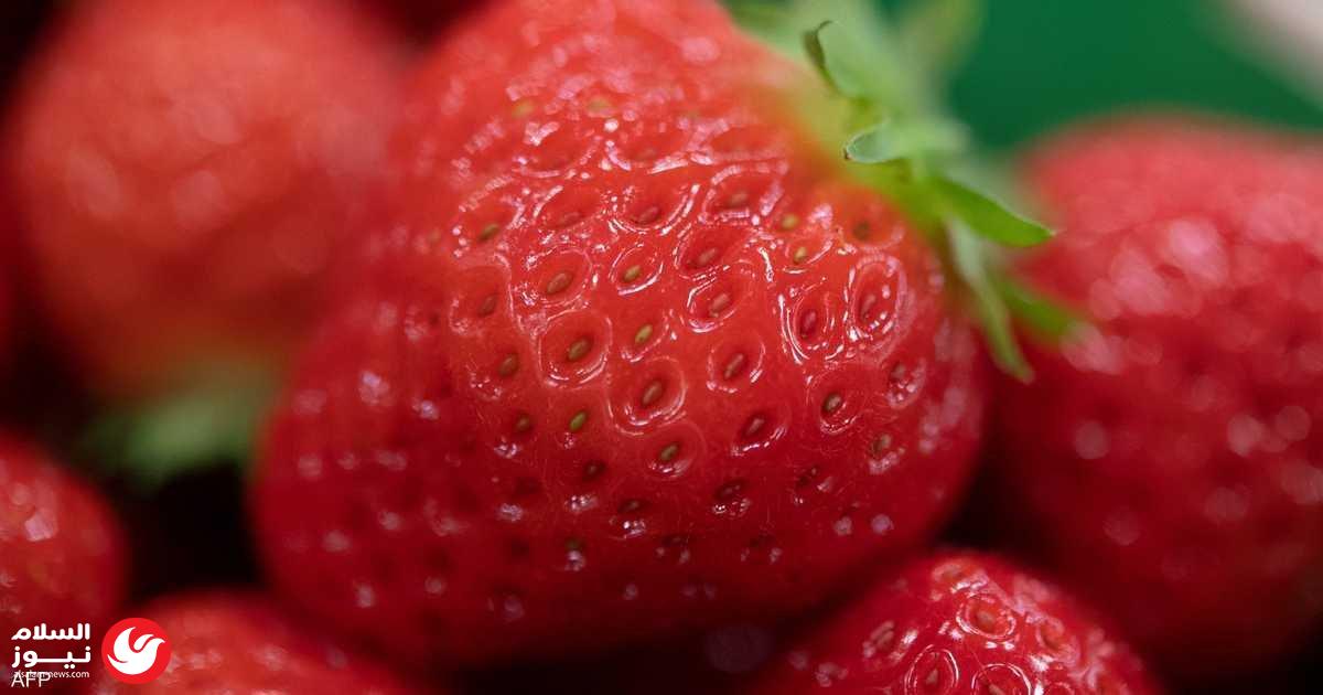 ��� ����� �� �����: ����� �������� �������� ������