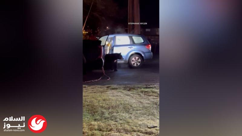 ������ ������ ���� ������ ������� ��� ����� ������